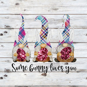 Some Bunny Loves You Rainbow Plaid Gnomes Shiplap 18 inch