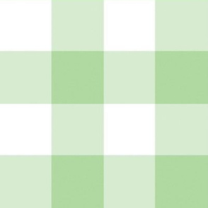 Green and white ,  Gingham check,  large