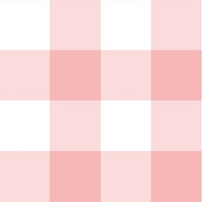 Pink and white ,  Gingham check, large