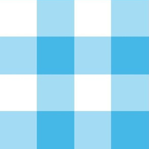 Turquoise and white ,  Gingham check, large