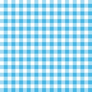 Turquoise and white ,  Gingham check small
