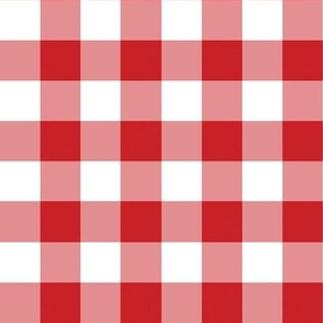 Red  and white, Gingham check,   medium