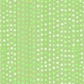 scatter_spots_bamboo