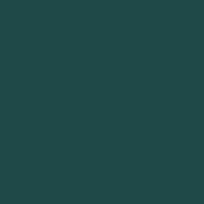 Solid Color Rococo Green #1f4948