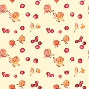 Cloudberry and cranberry on yellow