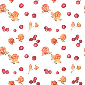 Cloudberry and cranberry on white