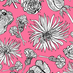 Inked Dried Flowers, Wallpaper sized, pink