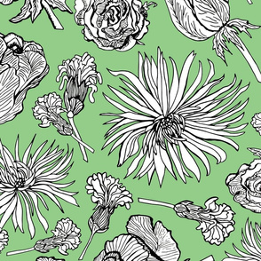 Inked Dried Flowers, Wallpaper sized, green