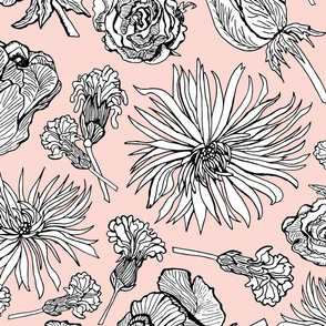 Inked Dried Flowers, Wallpaper sized, blush
