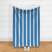 Biscayne Bay Blue and White Vertical French Stripe