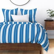 Biscayne Bay Blue and White Vertical French Stripe