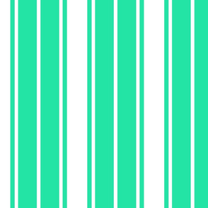 Sea Mint Green and White Vertical French Stripe