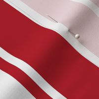 Cherry Orchard Red and White Horizontal French Stripe