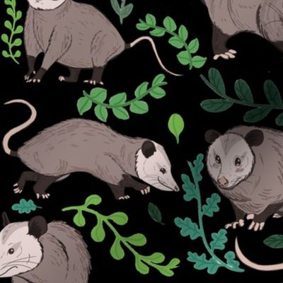 possums Plants Black