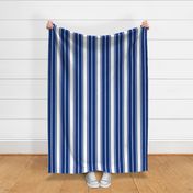 Deep Water Blue and White Vertical French Stripe