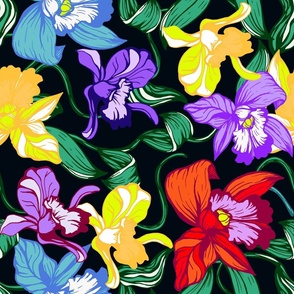 Colorful Orchids