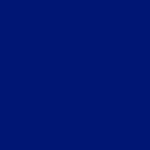 Color Map v2.1 S28 #00186E - Passport Blue
