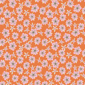 Starburst flower-Tangerine