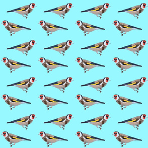 Gold finch  - mint - small