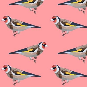 Gold finch - pink - small