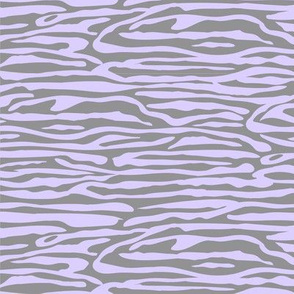 Zebra in Purple and Gray