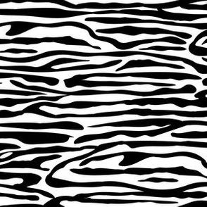 Zebra print in Black & white