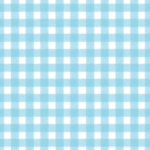 White with blue gingham small 