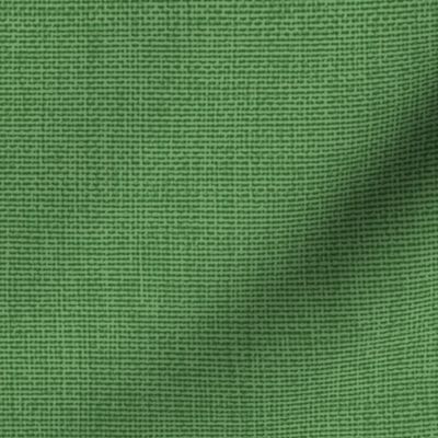Woven Texture -Kelly Green -Petal Solids