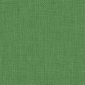 Woven Texture -Kelly Green -Petal Solids