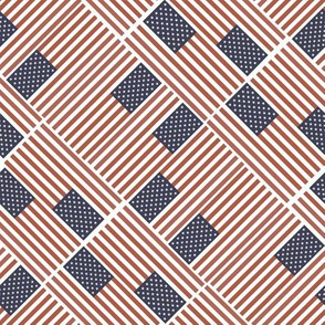 MEDIUM American flag fabric - muted