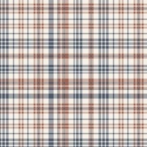 MINI USA plaid fabric - July 4th - muted