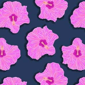 Pink Hibiscus On Navy