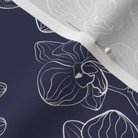 White orchids on blue background