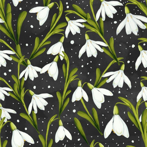 Snowdrop flowers