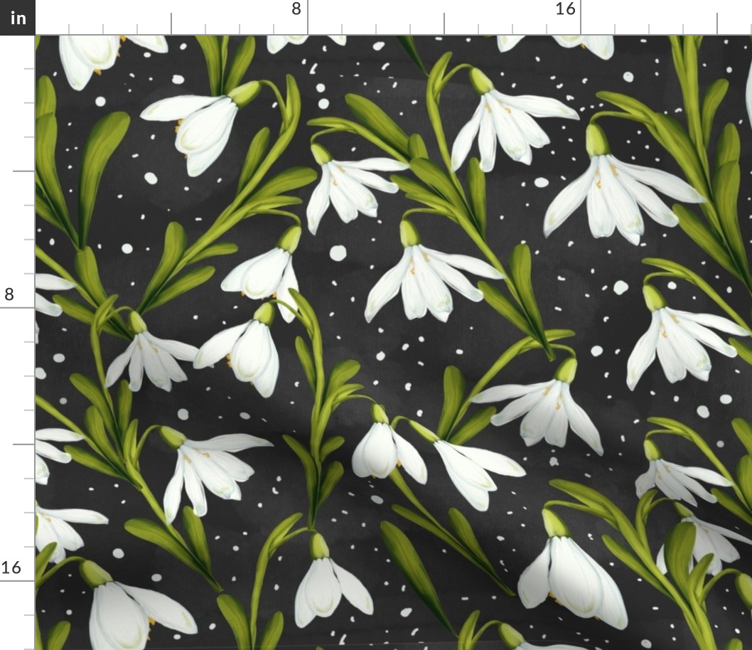 Snowdrop flowers