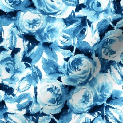 roses blue