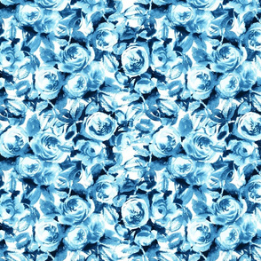 roses blue