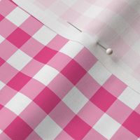 Gingham Pattern - French Rose and White