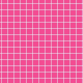 Grid Pattern - French Rose and White
