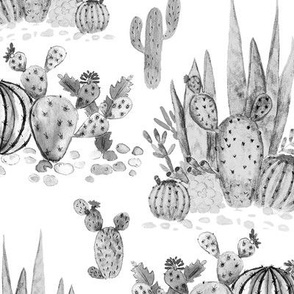 sketch watercolor cacti 