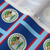 Belize flag fabric -North American flag fabric Light blue