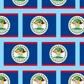 Belize flag fabric -North American flag fabric Light blue
