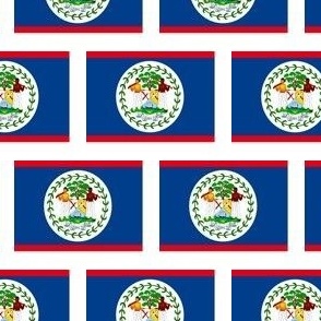 Belize flag fabric -North American flag fabric White
