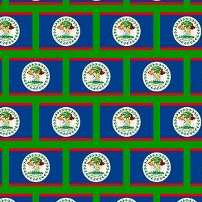SMALL Belize flag fabric -North American flag fabric green