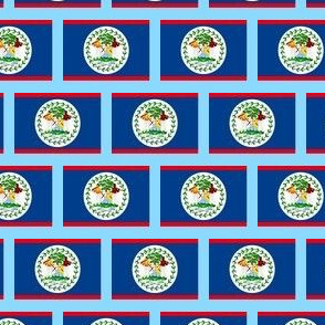 SMALL Belize flag fabric -North American flag fabric LIGHT BLUE