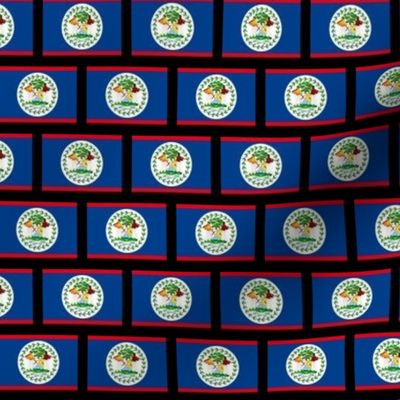 SMALL Belize flag fabric -North American flag fabric BLACK 