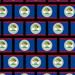 SMALL Belize flag fabric -North American flag fabric BLACK 