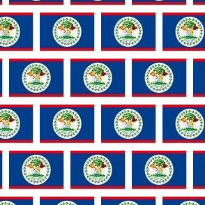 SMALL Belize flag fabric -North American flag fabric WHITE 
