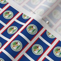 TINY Belize flag fabric -North American flag fabric white