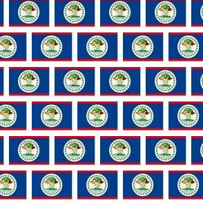 TINY Belize flag fabric -North American flag fabric white